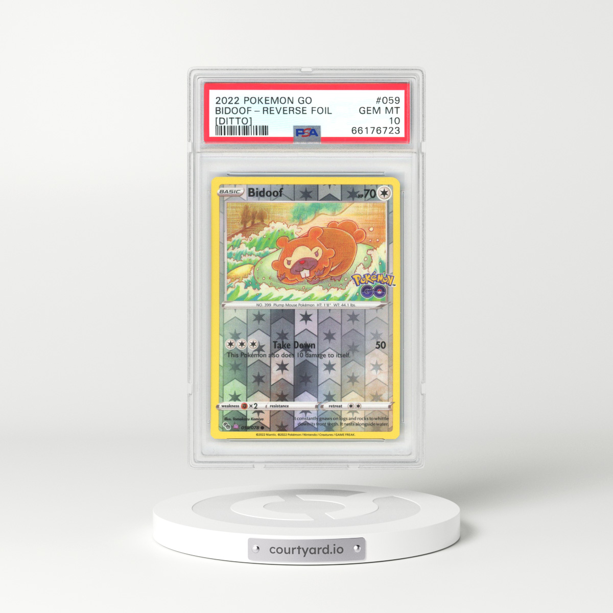 Bidoof [Ditto] #59 Prices, Pokemon Go