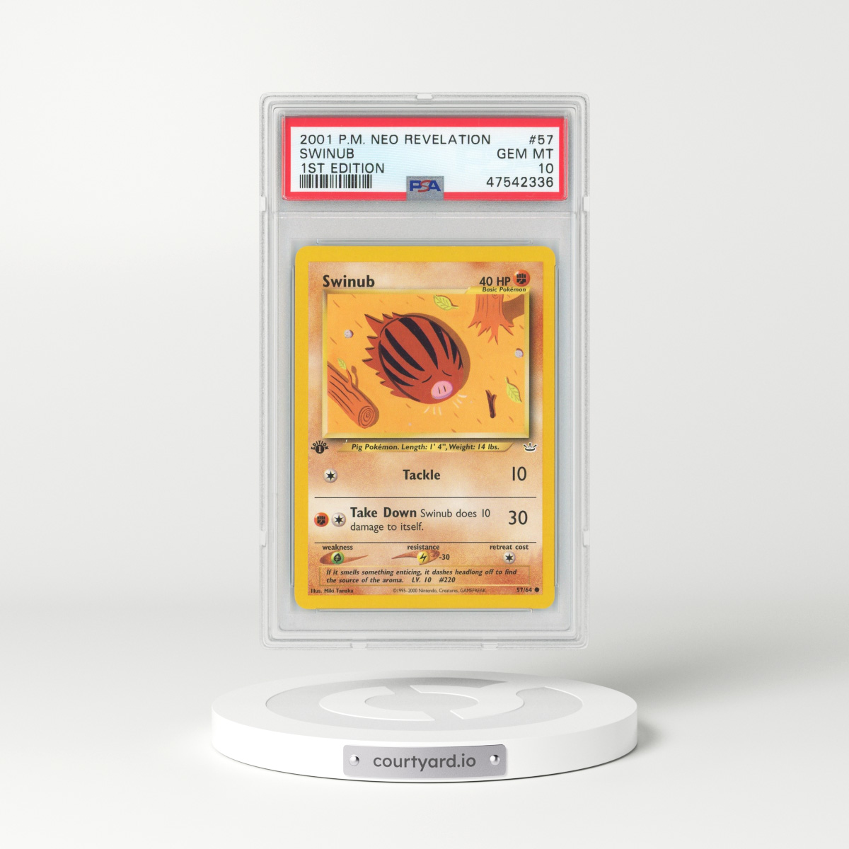 2001 Neo Revelation #57 Swinub - 1st Edition (PSA 10 GEM MINT)