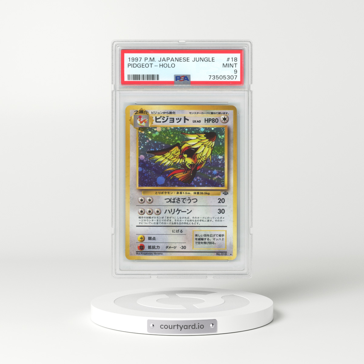 Pidgeot Japanese Pokemon card Nintendo Holo Rare NO.018 LV.40 HP80 TCG F/S